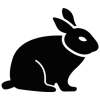 rabbit-217